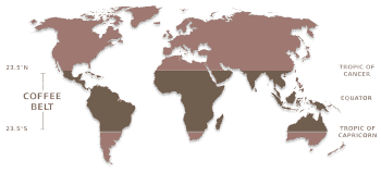 the coffee belt map